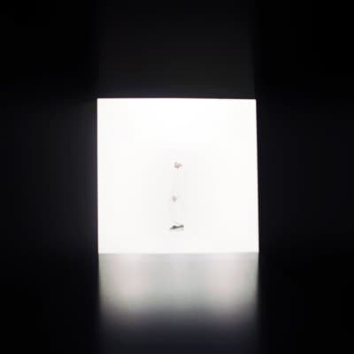 Benny Blanco - Single