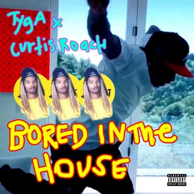 Bored in the House - Single