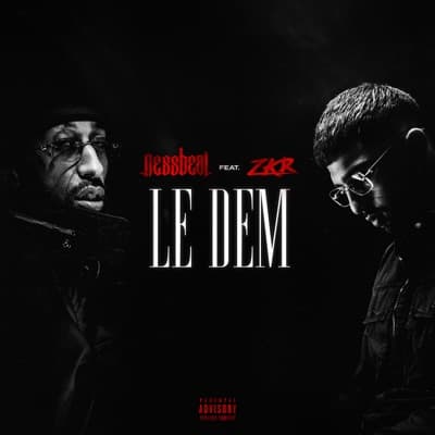 Le Dem (feat. Zkr) - Single