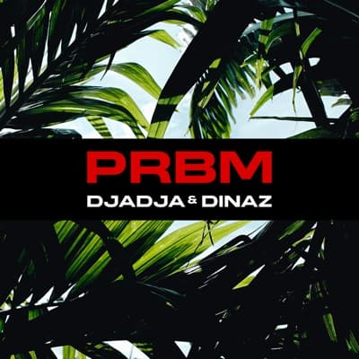 PRBM - Single