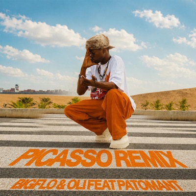 Picasso (Patomant Remix) - Single