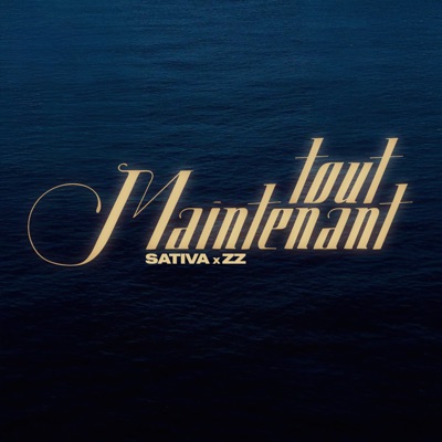 TOUT MAINTENANT - Single