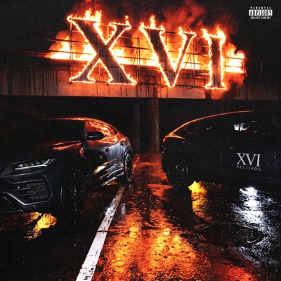 XVI (Vol. I)