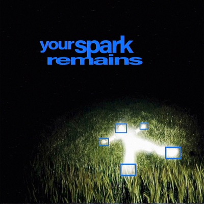your spark remains - Single